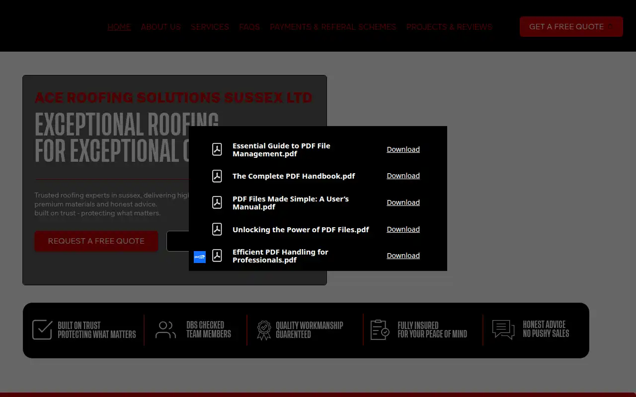 Ace Roofing Solutions Sussex ltd website homepage